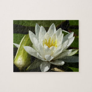 Quebra-cabeça White Waterlily e Bud Floral