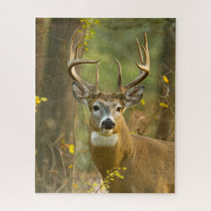 Quebra-cabeça Whitetail Deer Buck   Whitefish, Montana