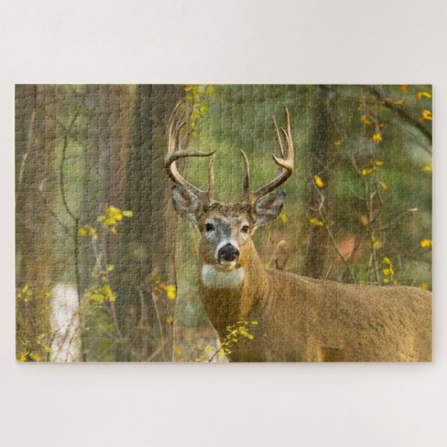 Quebra-cabeça Whitetail Deer Buck | Whitefish, Montana (Horizontal)
