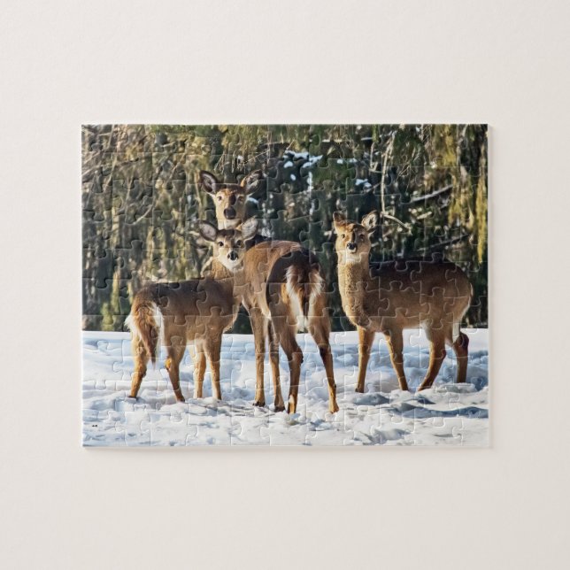 Quebra-cabeça Whitetail Deer em Snow (Horizontal)