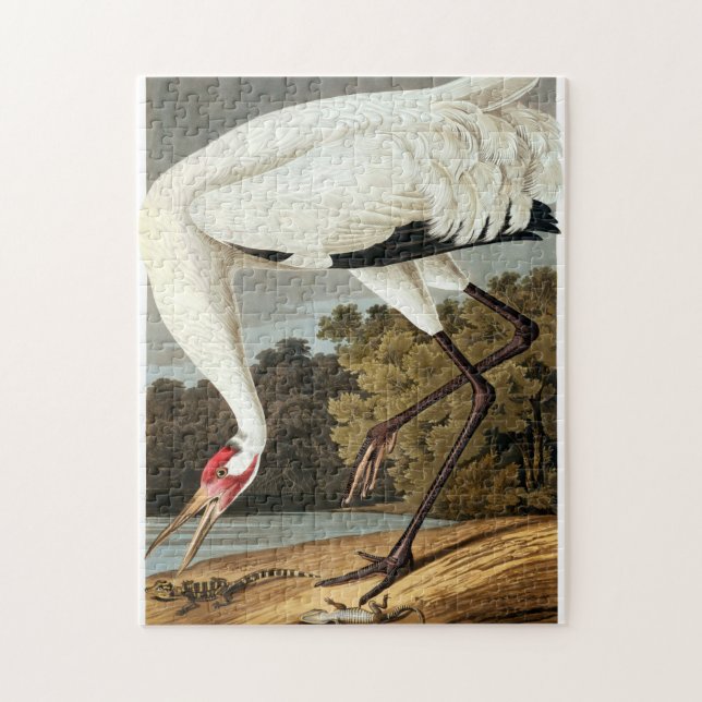 Quebra-cabeça Whooping Crane de John James Audubon (Vertical)