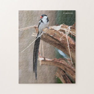 Quebra-cabeça Whydah Songbird Alvo de Pinos