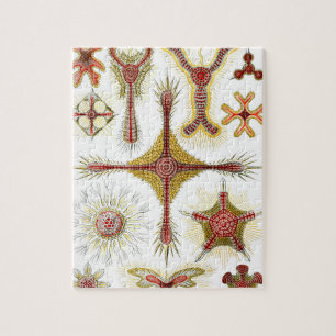 Quebra-cabeça Wild Chamomile por Ernst Haeckel, Vintage Nature