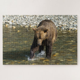 Quebra-cabeça Wild Grizzly Tentando Pegar Salmão No Toba