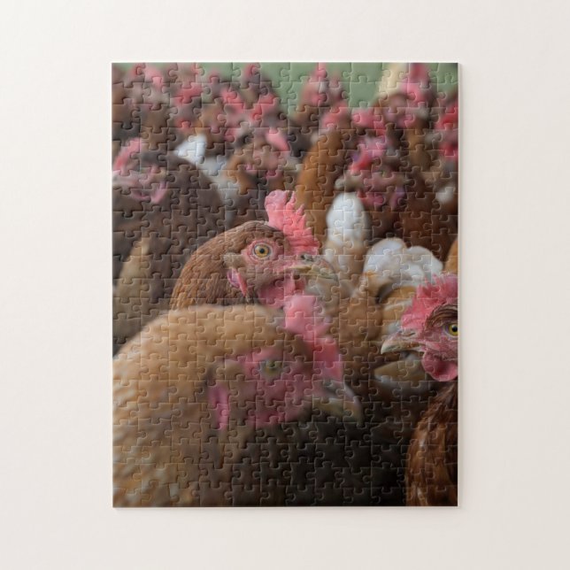 Quebra-cabeça Wild Hen Chicken Family Group Fechar Fazenda de Pe (Vertical)