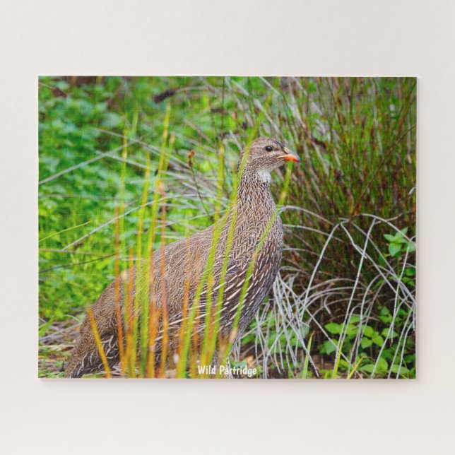 Quebra-cabeça Wild Partridge (Horizontal)