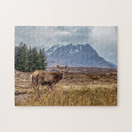 Quebra-cabeça Wild Red Stag em Glencoe Scotland