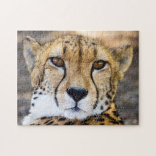 Quebra-cabeça Wildcat Cheetah Leopard Wildlife Nature