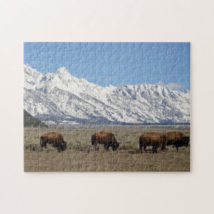 Quebra-cabeça Wildlife Bison Mountain Snow Foto