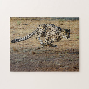 Quebra-cabeça Wildlife Cheetah Running Photo