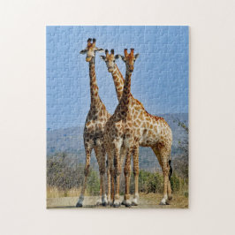 Quebra-cabeça Wildlife Giraffe Herd Foto