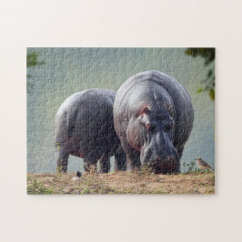 Quebra-cabeça Wildlife Hippo Photo