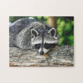 Quebra-cabeça Wildlife Raccoon Log Mammal Foto