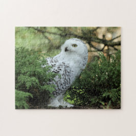 Quebra-cabeça Wildlife White Owl Photo