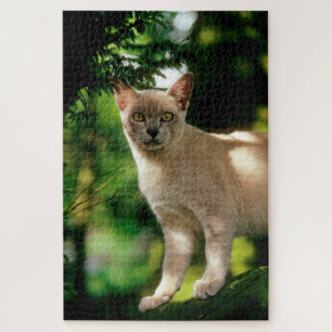 Quebra-cabeça Wilham.