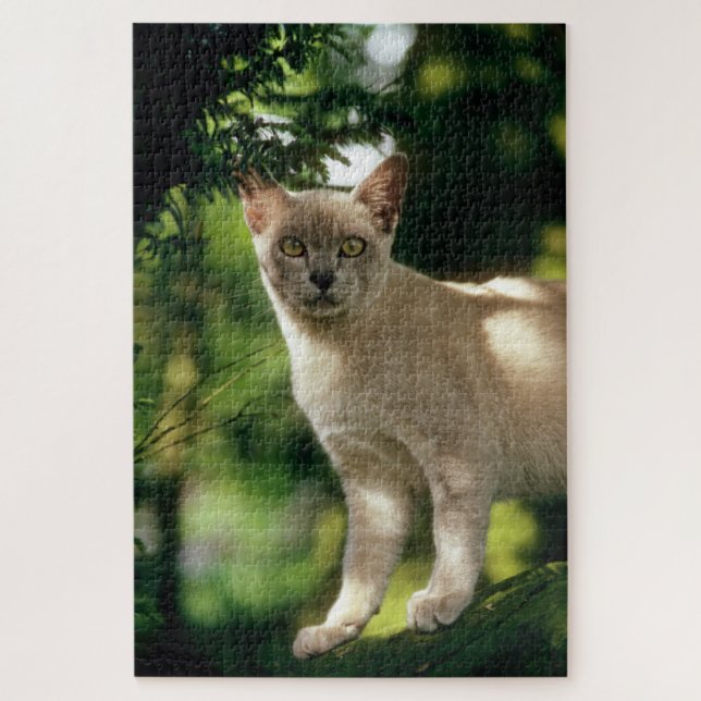 Quebra-cabeça Wilham. (Vertical)