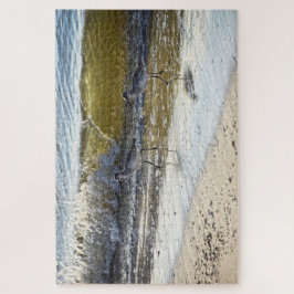 Quebra-cabeça Willet Duo na Ilha Dauphin, Alabama