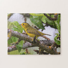 Quebra-cabeça Wilson's Warbler na árvore da pera