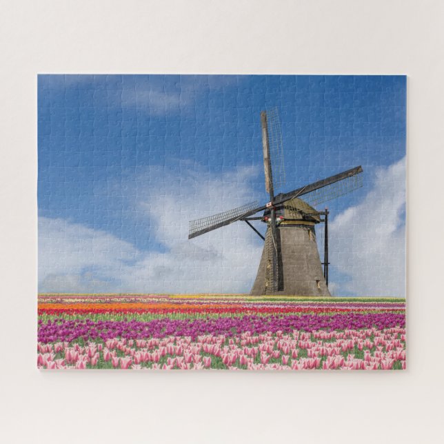 Quebra-cabeça Windmill E Colorful Tulips Amsterdam Países Baixos (Horizontal)