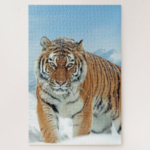 Quebra-cabeça Winter Snow Mountain Animal Tiger Photo