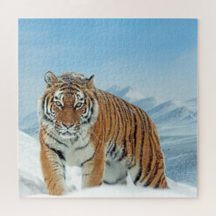 Quebra-cabeça Winter Snow Tiger Mountain Animal Photo Trendy