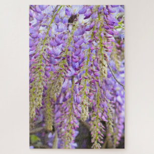 Quebra-cabeça Wisteria Purple Floral Flor Tree Violet