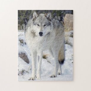 Quebra-cabeça Wolf 11" x 14" 252 Peece Com Caixa
