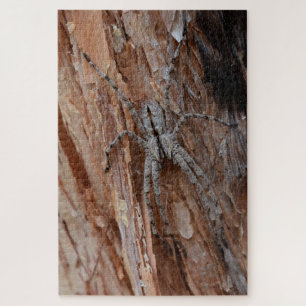 Quebra-cabeça Wolf Spider