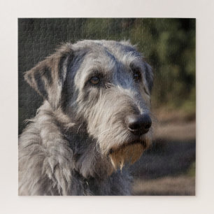 Quebra-cabeça Wolfhound Irlandês Não Estou Amado,