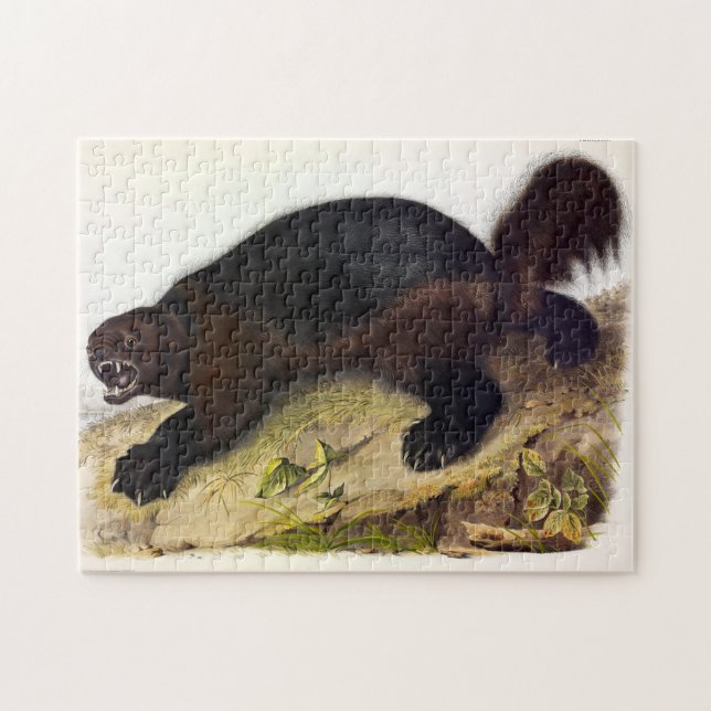 Quebra-cabeça Wolverine ou Wolverene (Gulo gulo) por Audubon (Horizontal)
