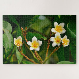 Quebra-cabeça Yellow Frangipani
