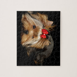 Quebra-cabeça Yorkie bonito