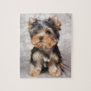 Quebra-cabeça Yorkie maravilhoso