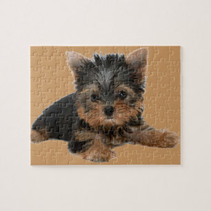 QUEBRA-CABEÇA YORKSHIRE TERRIER