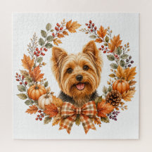 Yorkshire Terrier Outono