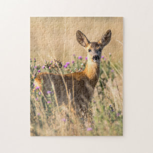 Quebra-cabeça Young Roe Deer em Meadow