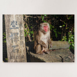 Quebra-cabeça ZaZen Temple Monkey Arashiyama Kyoto Japão