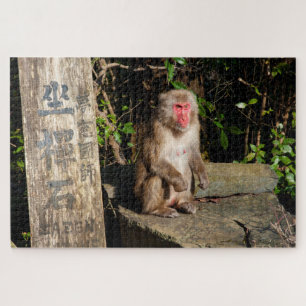Quebra-cabeça ZaZen Temple Monkey Arashiyama Kyoto Japão