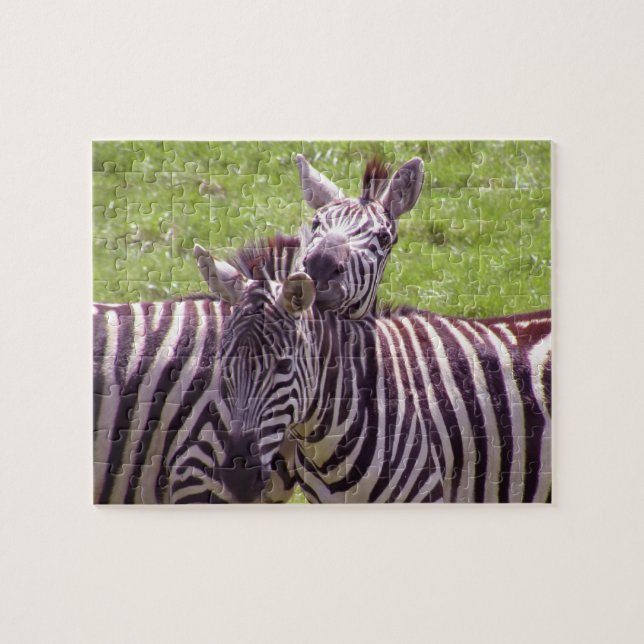 Quebra-cabeça Zebra (Horizontal)