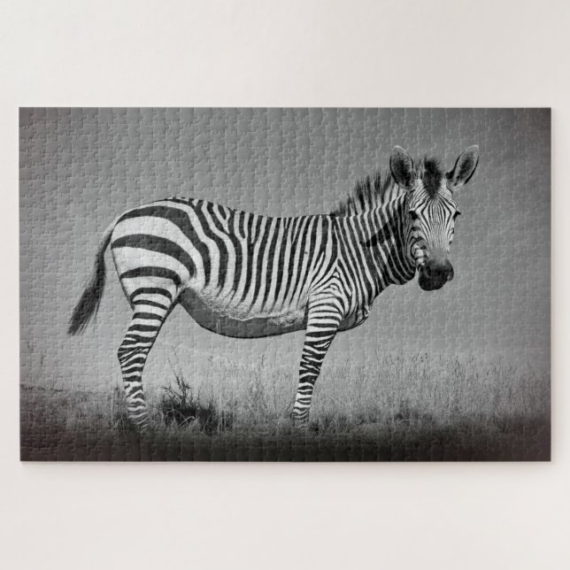 Quebra-cabeça Zebra (Horizontal)
