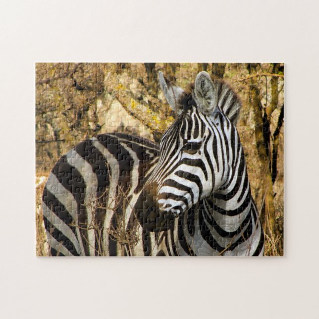 Quebra-cabeça Zebra africana (Horizontal)