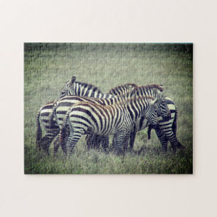 Quebra-cabeça zebra dazela