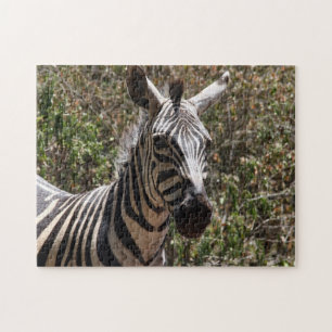 Quebra-cabeça zebra listrada