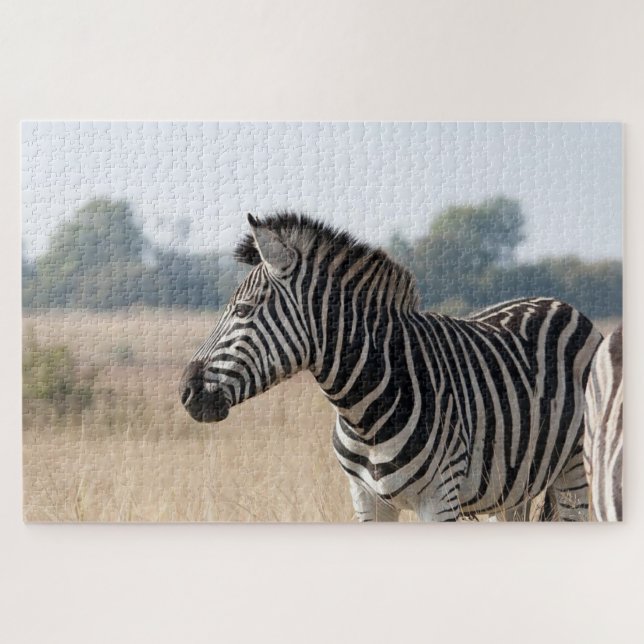 Quebra-cabeça Zebra no safari (Horizontal)
