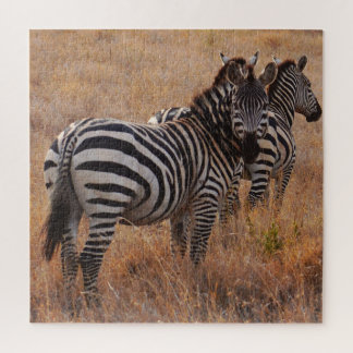 Quebra-cabeça Zebra selvagem na planície africana