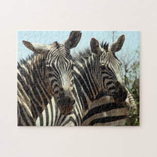 Quebra-cabeça zebras
