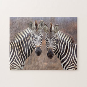 Quebra-cabeça Zebras-comuns, Parque Nacional Kruger