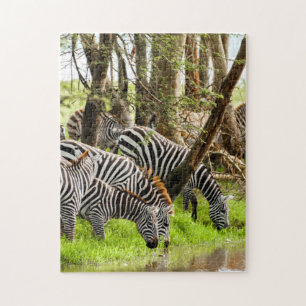 Quebra-cabeça zebras do serrote pelo rio