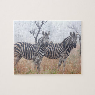Quebra-cabeça Zebras na poeira do amanhecer, nacional de Kruger