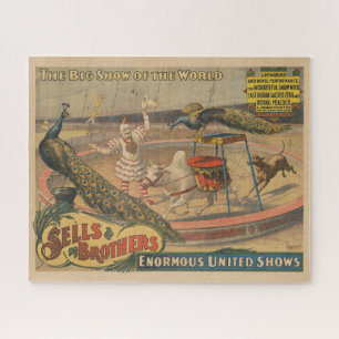 Quebra-cabeça Zebu E Pavão Com Treinador De Palhaços